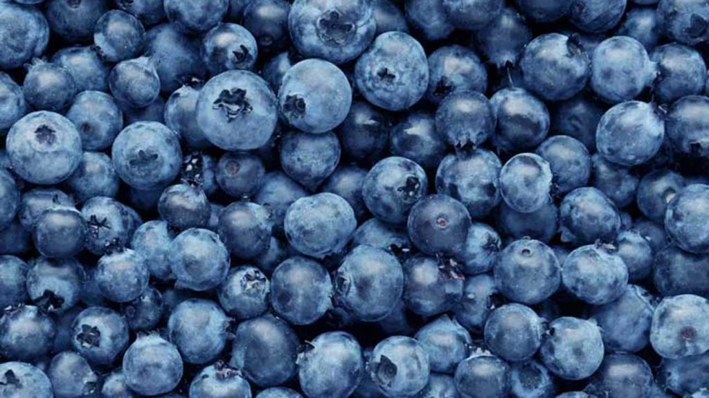 Blueberry for yogurt