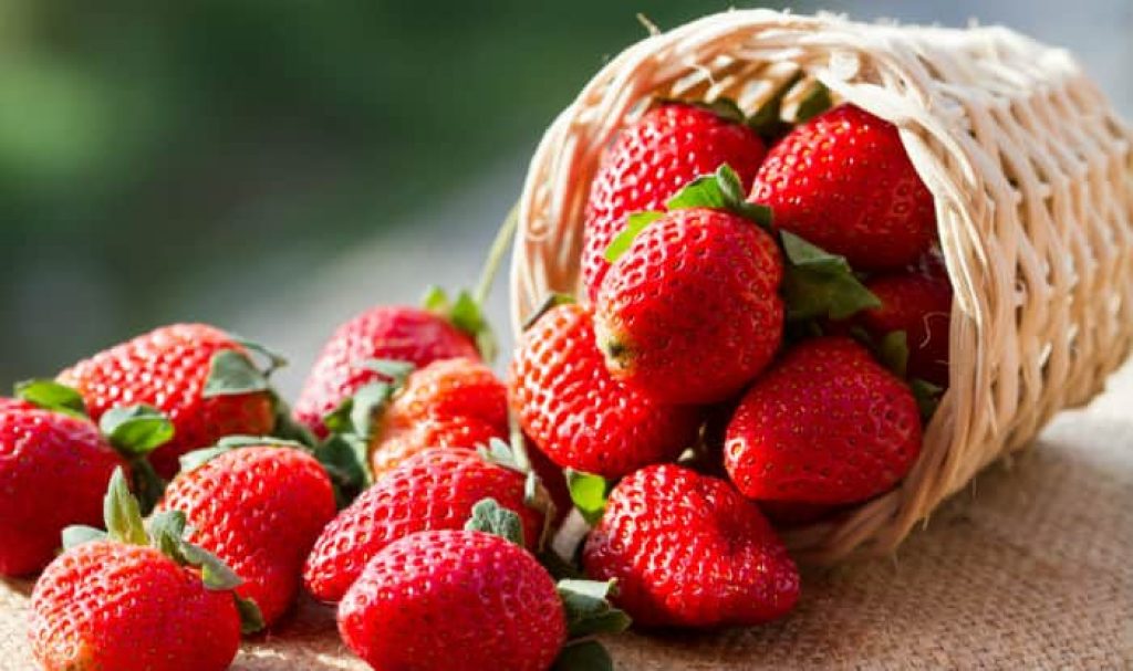Strawberries for yogurt